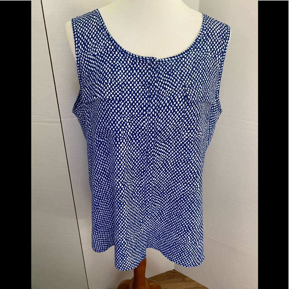 Chico’s Blue & White Sleeveless Top.